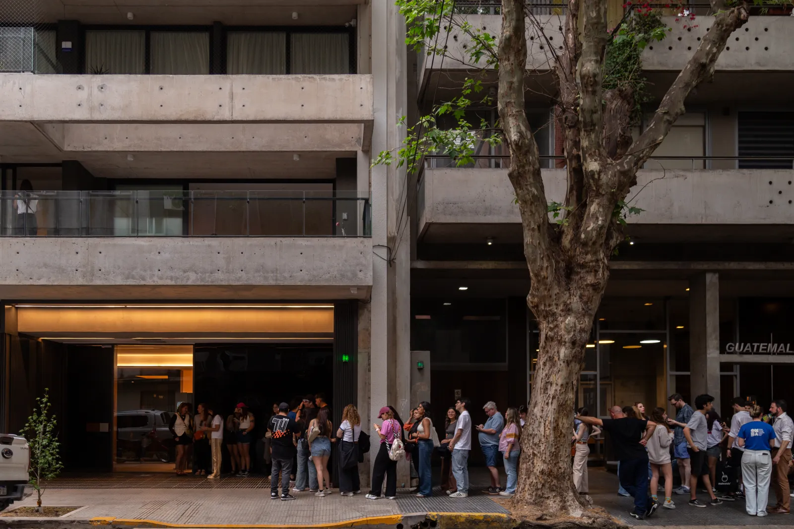 Registro Fotográfico — foto 7